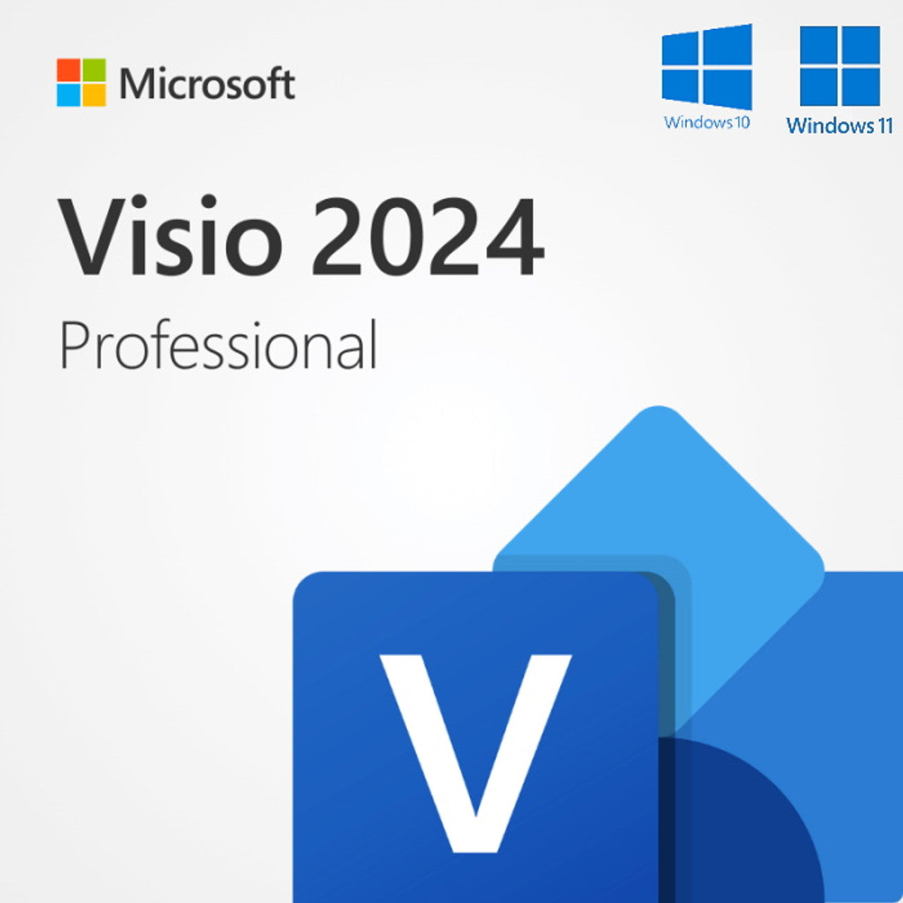 Microsoft Visio Professional 2024 1 License