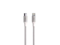 كابل جريفين بريميوم USB-C إلى Lightning - 3 أقدام، فضي