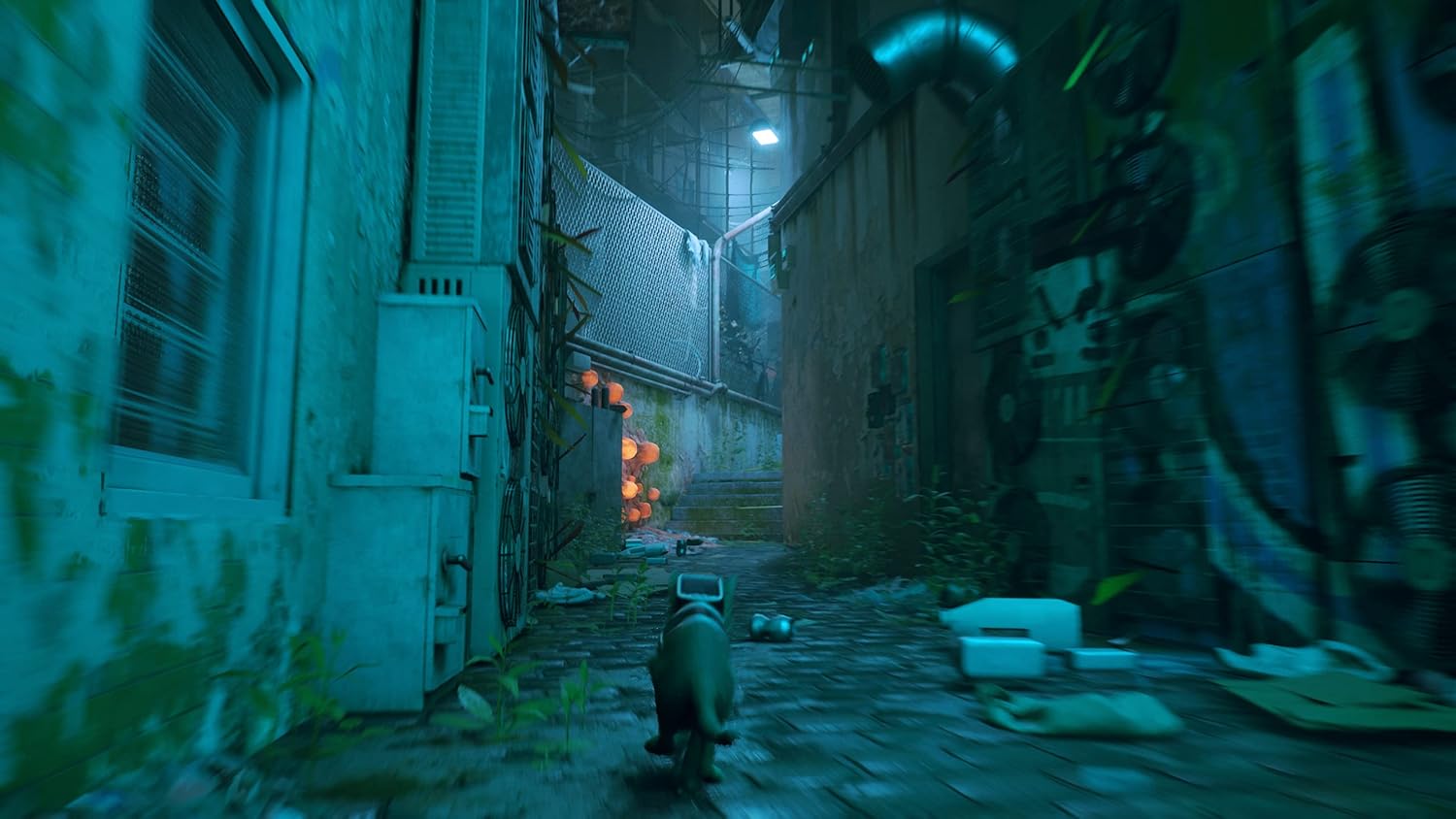 PS5 ستراي