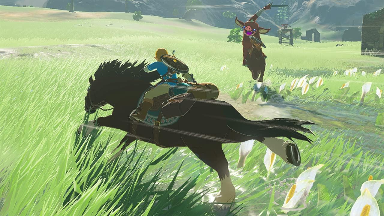 لعبة فيديو The Legend Of Zelda Breath Of The Wild على Nintendo Switch (Nintendo Switch)