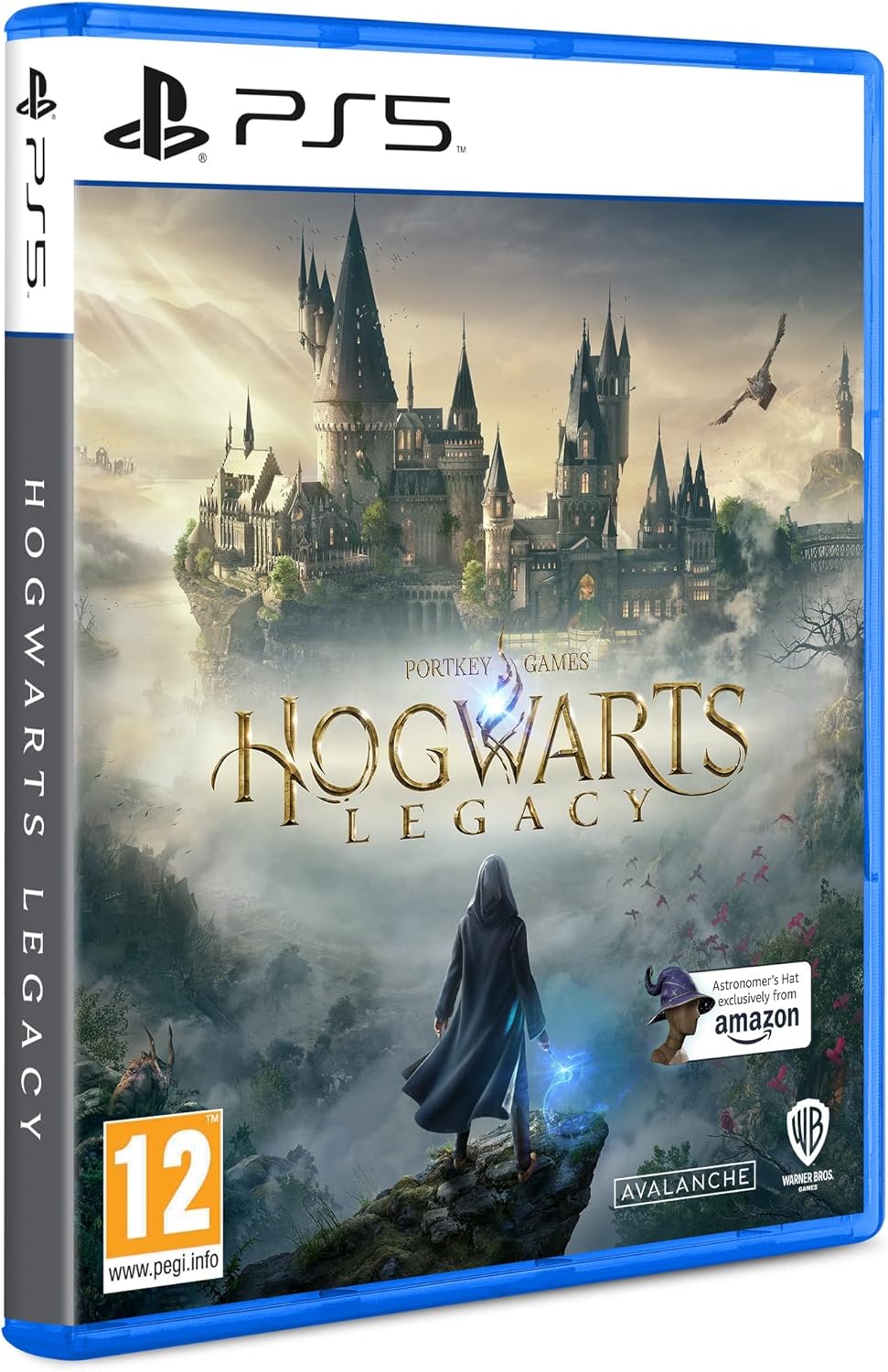 Warner Bros Interactive Entertainment UK Hogwarts Legacy PS5 (حصريًا على Amazon)
