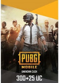 PUBG MOBILE 300 +25 UC