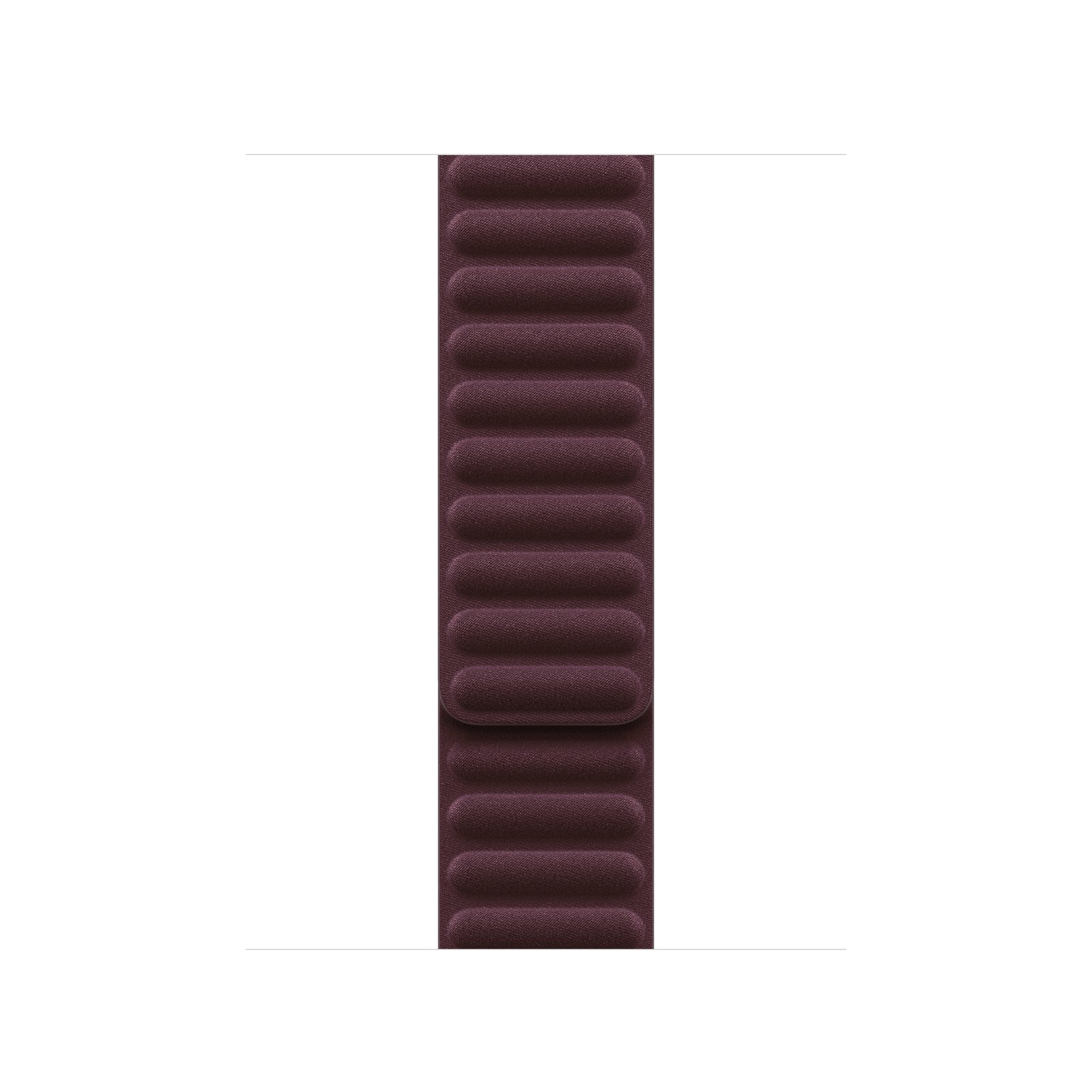 Apple Watch Magnetic Link